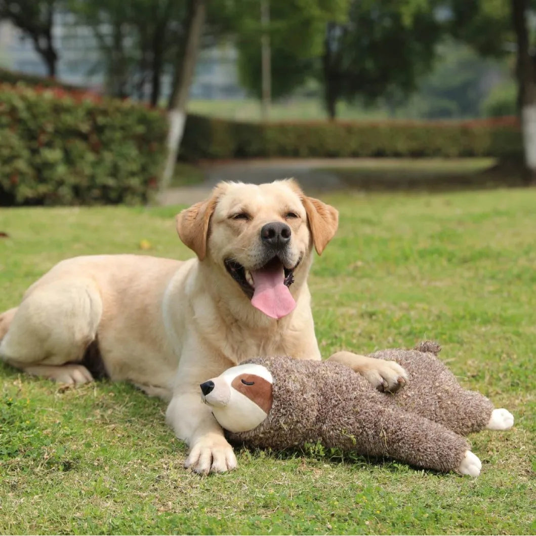 Heartbeat Sloth Plush Toy for Dogs Anxiety Relief and Comfort