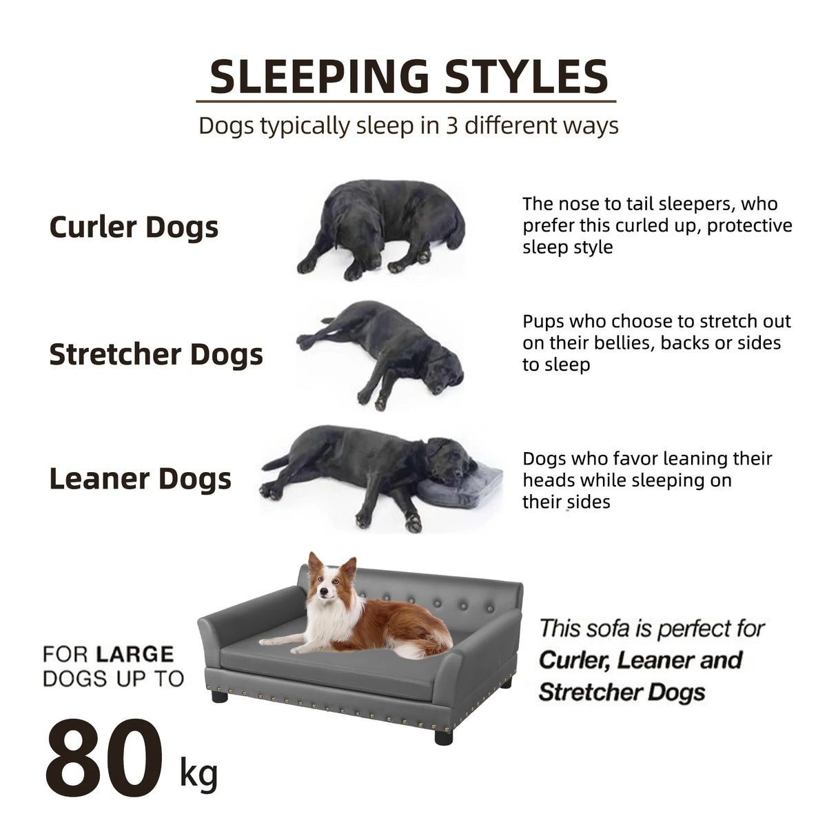 BINGOPAW Waterproof Elevated Dog Sofa Bed With Removable Cushion