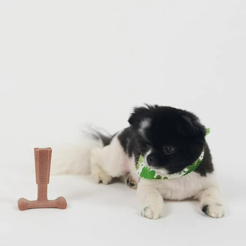 T Bone Beef Flavored Nylon Chew Toy for Tough Chewers