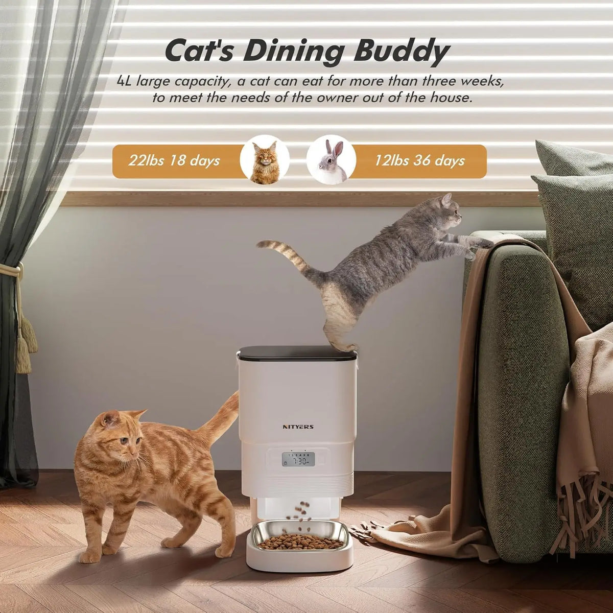 Nityers Automatic Timed Pet Feeder With Stainless Steel Bowl
