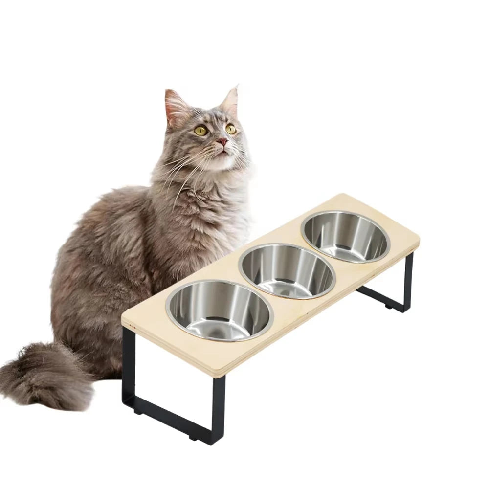 Elevated Cat Feeder With Stainless Steel Bowls And Feeding Mat
