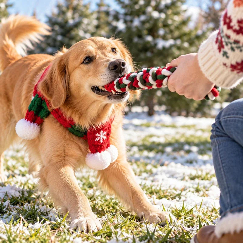 Christmas Dog Rope Toy for Chewing and Interactive Play