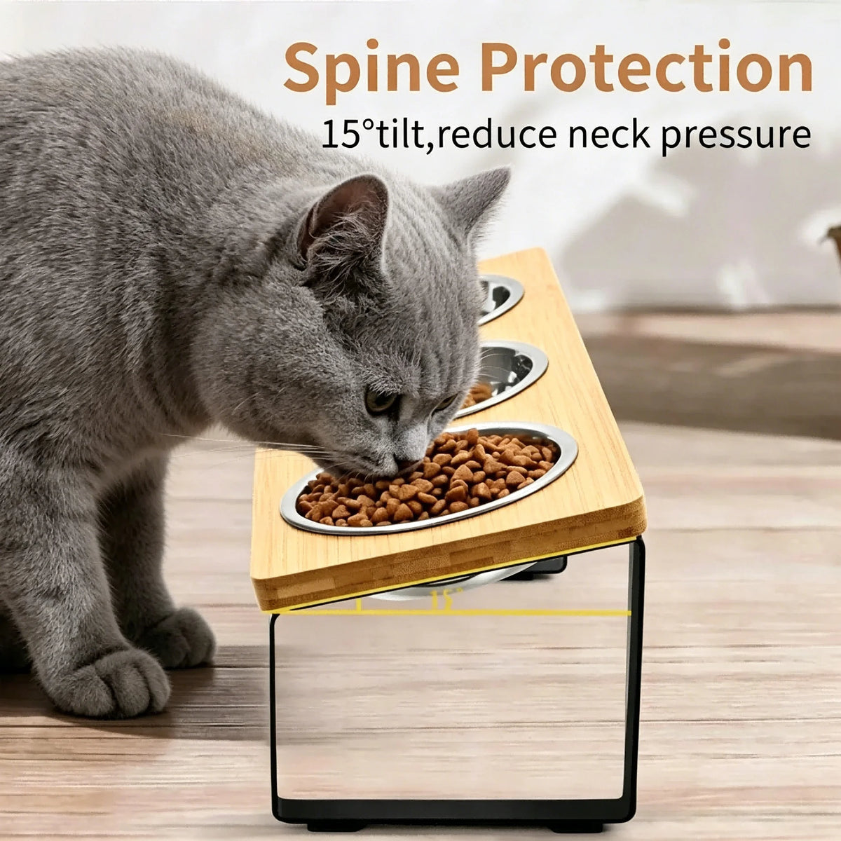 Elevated Cat Feeder With Stainless Steel Bowls And Feeding Mat