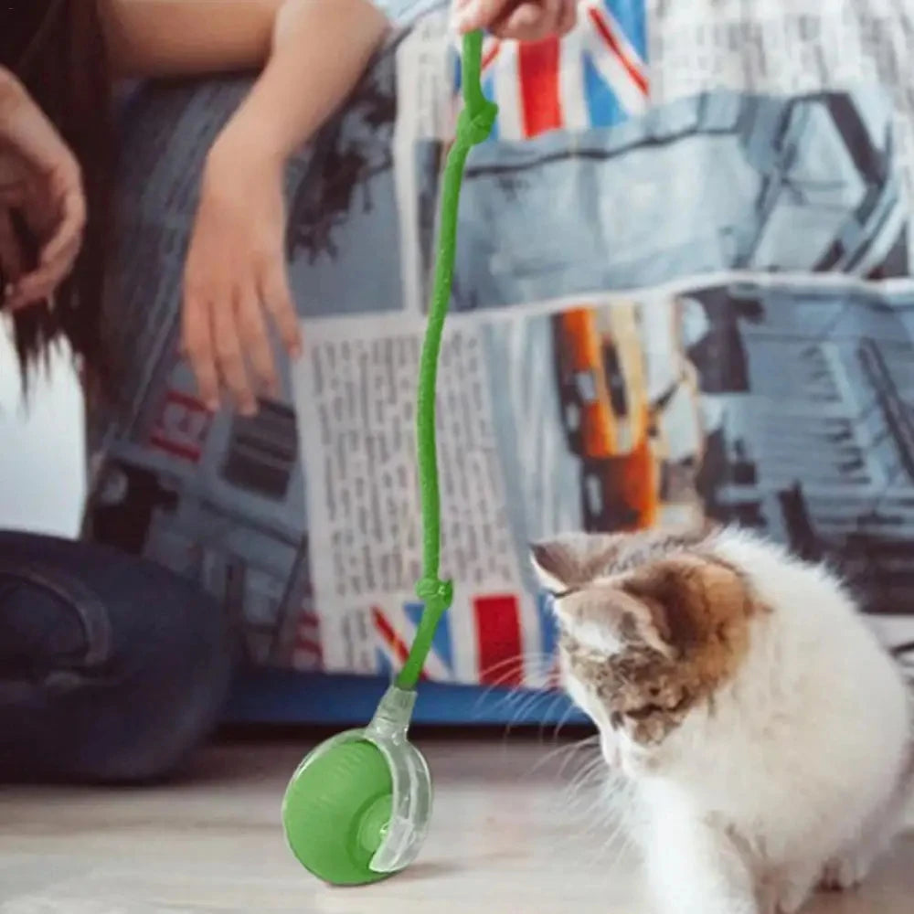 Automatic Rolling Cat Ball USB Rechargeable Interactive LED Toy