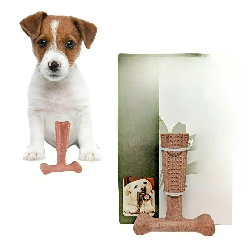 T Bone Beef Flavored Nylon Chew Toy for Tough Chewers