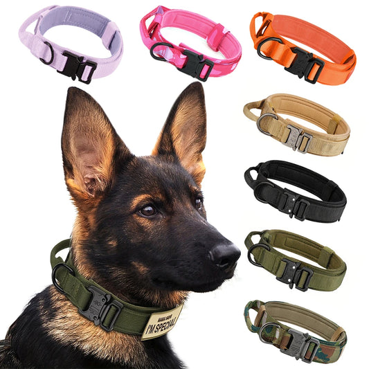 PETRAVEL Adjustable Tactical Dog Collar And Leash Set