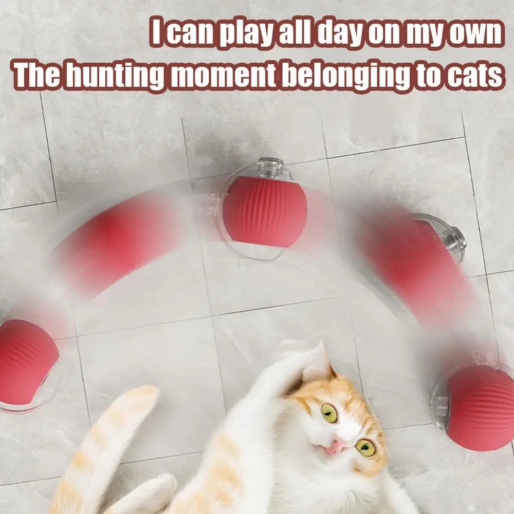 Automatic Rolling Cat Ball USB Rechargeable Interactive LED Toy