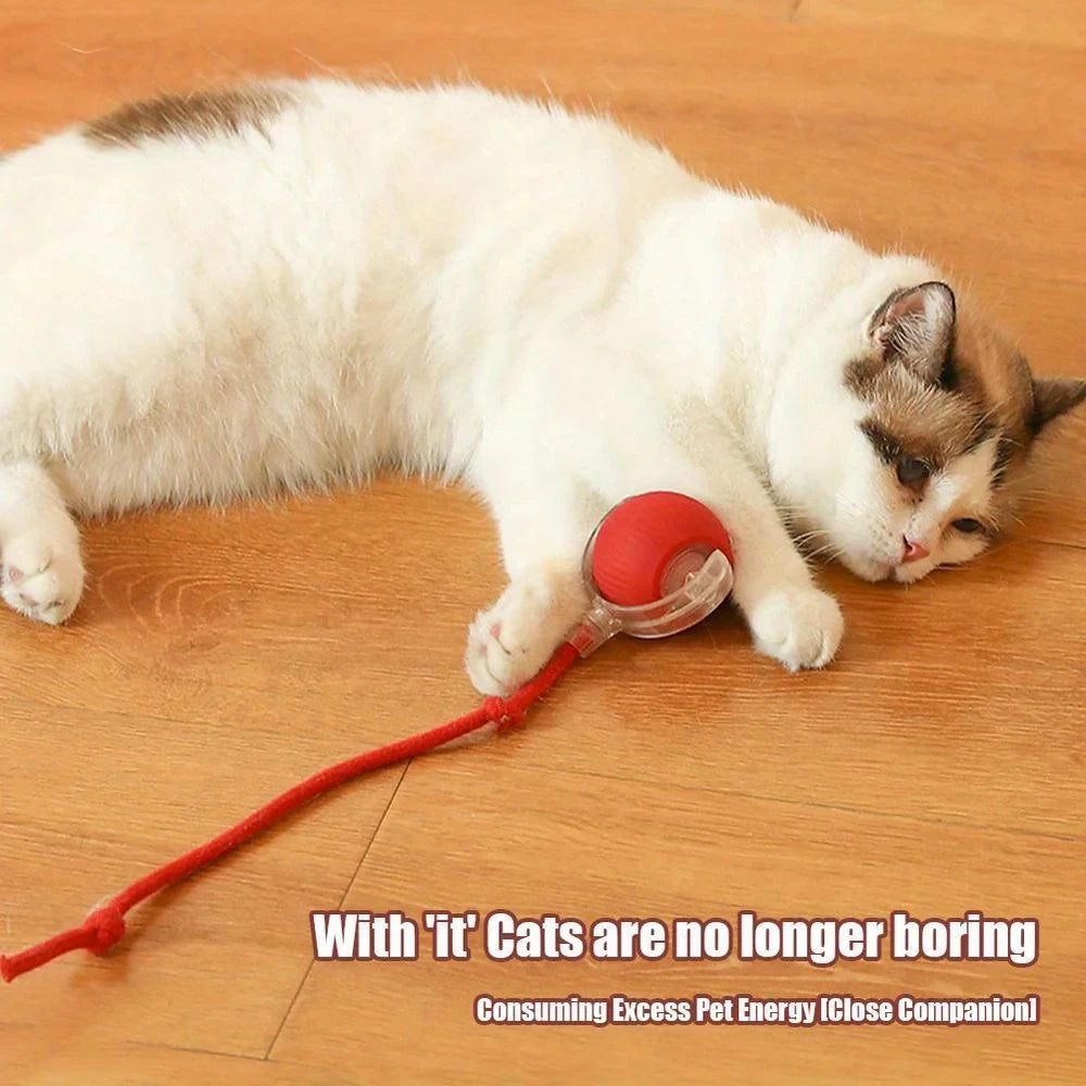 Automatic Rolling Cat Ball USB Rechargeable Interactive LED Toy