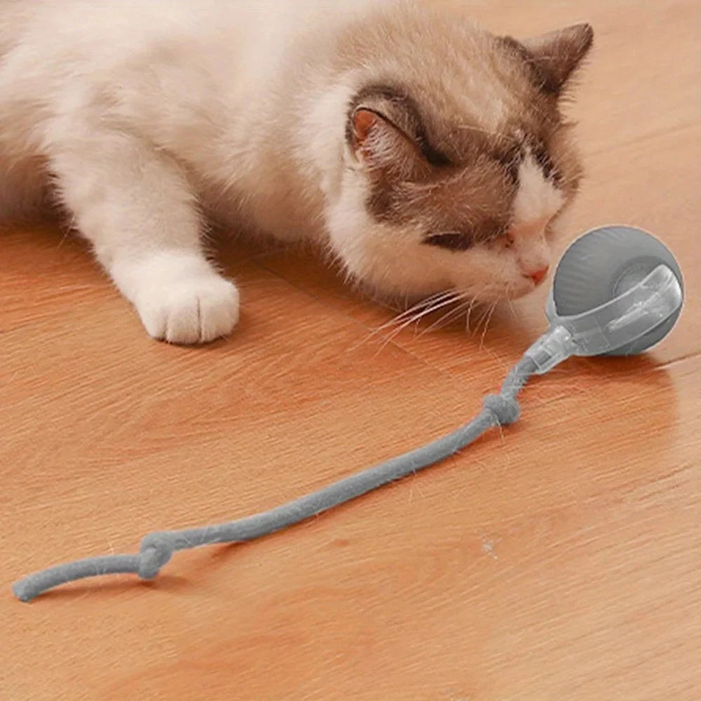 Automatic Rolling Cat Ball USB Rechargeable Interactive LED Toy