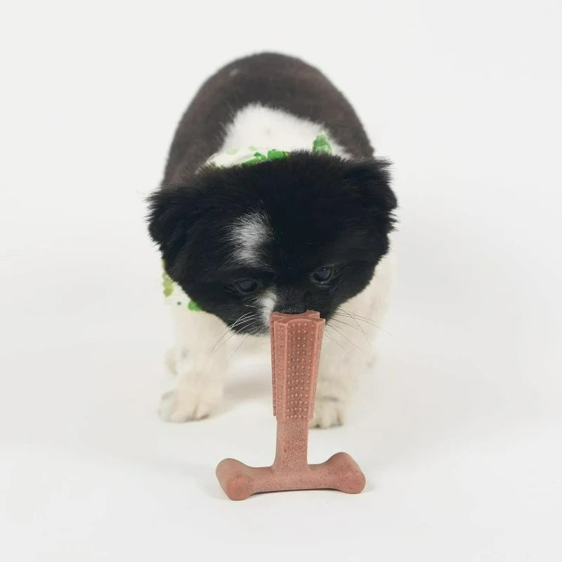 T Bone Beef Flavored Nylon Chew Toy for Tough Chewers