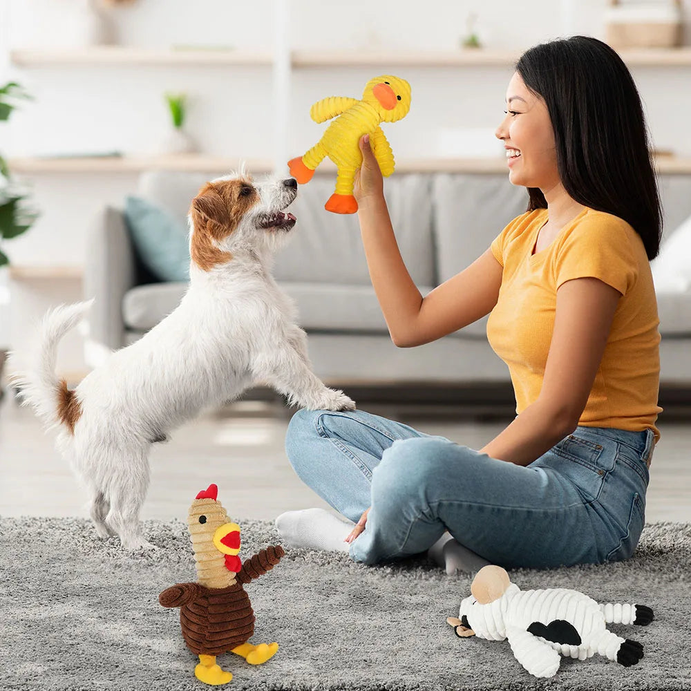 Five Pack Plush Squeaky Dog Toys Animal Assortment for Puppies and Dogs