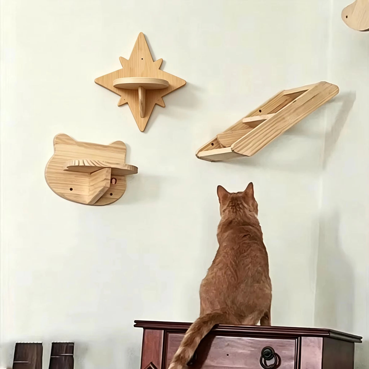 Wall Mounted Cat Shelves With Moon Hammock And Star Perches