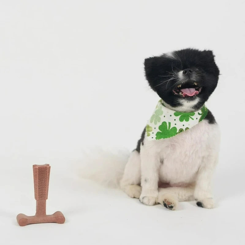 T Bone Beef Flavored Nylon Chew Toy for Tough Chewers